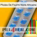 African Black Ant Pills 22